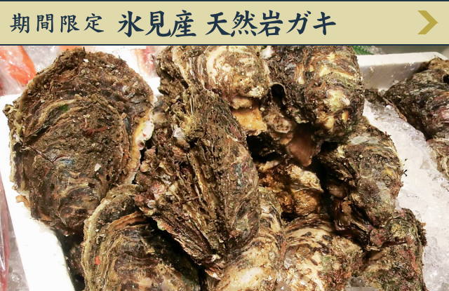期間限定 氷見産天然岩ガキ