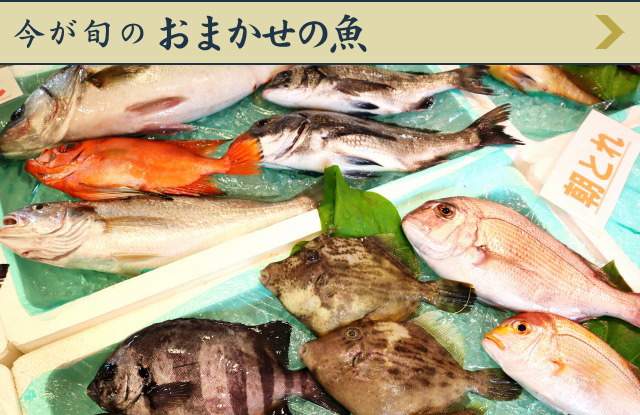 今が旬のおまかせの魚